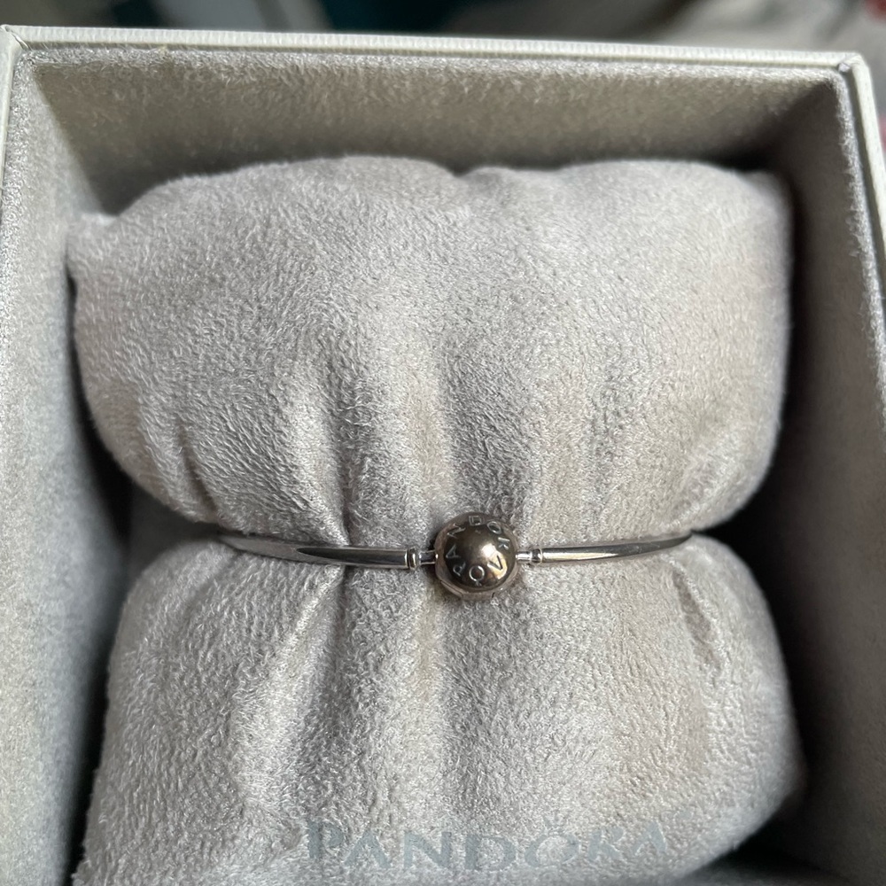 Pandora Silver Charm Bracelet
